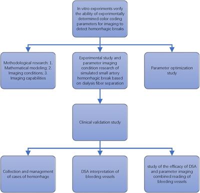 Color-coded parametric imaging support display of vessel hemorrhage—an in vitro experiment and clinical validation study